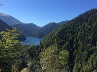IMG_1698[1].JPG