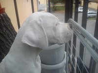 image.jpeg