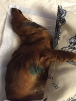 IMG-20160414-WA0001.jpg