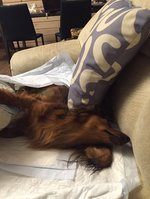 IMG-20160414-WA0002.jpg