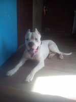 image.jpeg