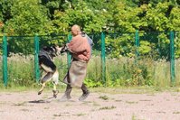 IMG_9838.JPG