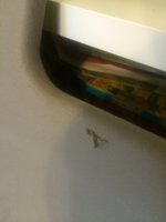 IMG_3307.JPG
