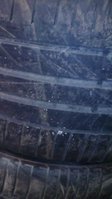 IMG_20160425_152147.jpg