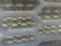 image1.JPG