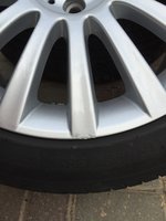 IMG_1318.jpg