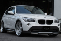 bmw1 disk 5.jpg