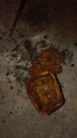 IMG-20160503-WA0032.jpg