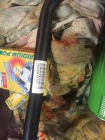 image-16-05-16-00-14-3.jpeg