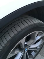 IMG_4591.JPG