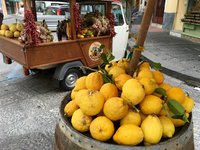 IMG_4017 (изменено).JPG