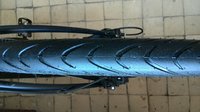 IMG_20160528_083608.jpg