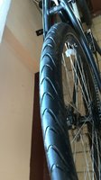IMG_20160528_083826.jpg