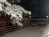 DSC04826 l.jpg