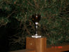 DSC04812 l.jpg