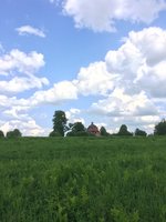 IMG_2241.JPG