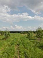 IMG_20160528_152530.jpg