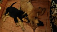 IMG_20160518_212331.jpg