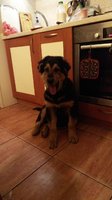 IMG_20160531_230340.jpg