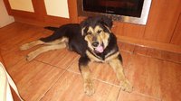 IMG_20160531_230756.jpg