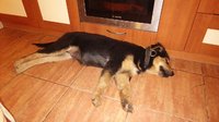 IMG_20160531_230839.jpg