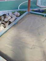 IMG-20160512-WA0002.jpg