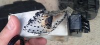20160609_185138.jpg