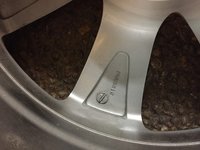 image.jpeg
