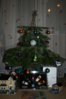 IMG_5497.jpg
