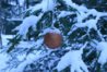 IMG_7739.jpg