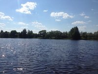 IMG_5366.jpg