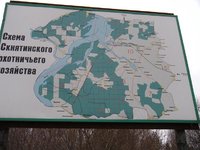 DSCN7993.jpg