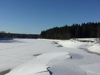 IMG_3172.jpg
