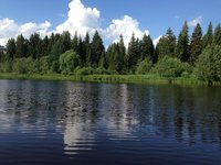 IMG_5724.jpg