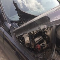 image.jpeg
