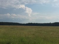 IMG_4549!.JPG