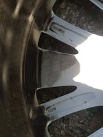image.jpeg