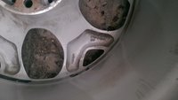 IMAG0111.jpg