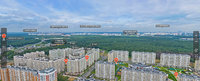 лес.jpg