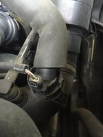 IMG_8402[1].JPG