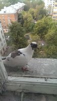 IMAG0627.jpg