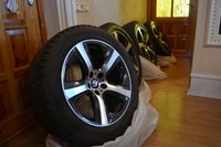 DSC_1646.JPG