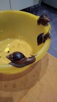 IMG_20160828_200654.jpg