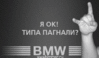 bmw_navi_boot_scren_058.gif