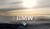 BMW_sky_logo_2.gif