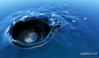 BMWы.gif