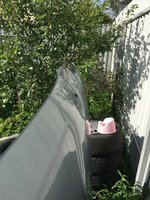 IMG_3195.JPG