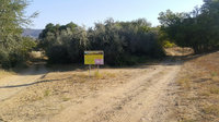 2ad44ces-960.jpg