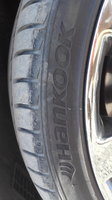 IMG_20160602_174837.jpg