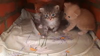 20160826_075551.jpg